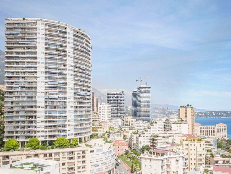 apartment 1 room for rent on MONACO (98000)