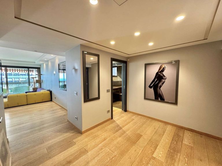 appartement 3 Pièces en vente sur MONACO (98000)