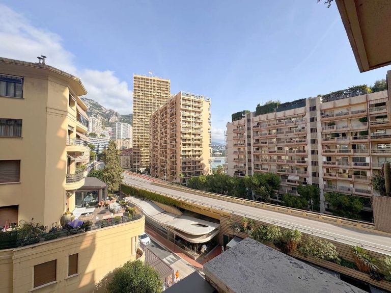 appartement 2 Pièces en location sur MONACO (98000)
