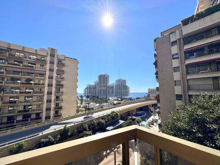 appartement 4 Pièces en location sur MONACO (98000)