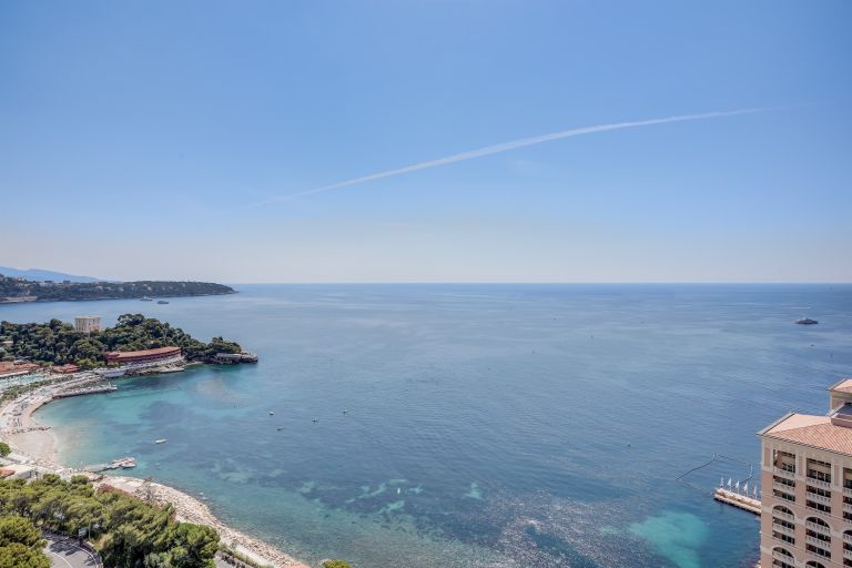 apartment 4 Rooms for rent on MONACO (98000)