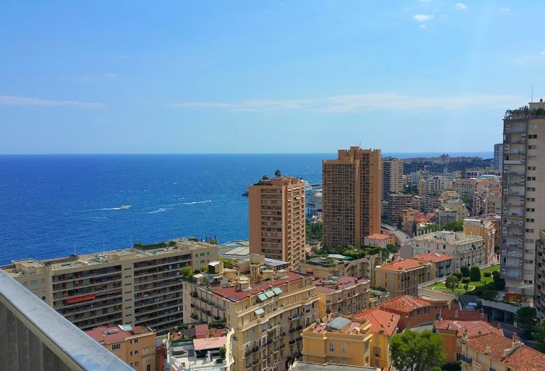 apartment 1 room for rent on MONACO (98000)