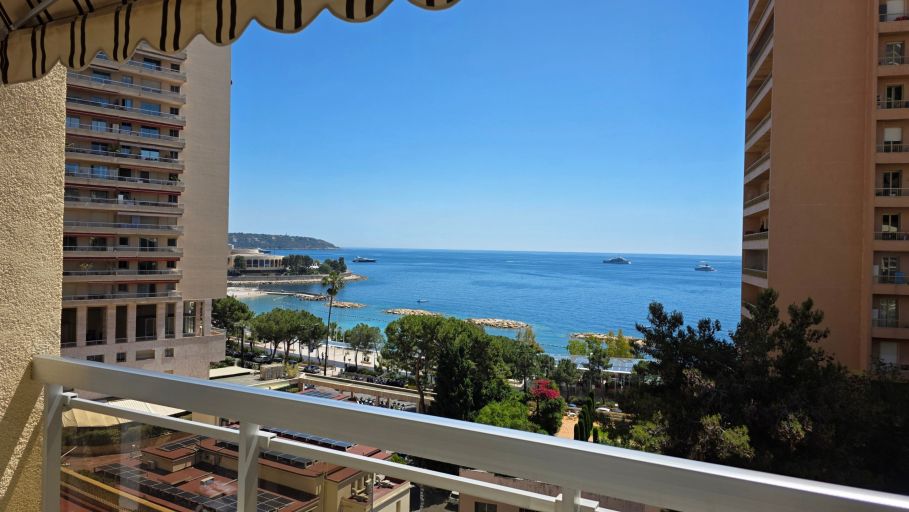 appartamento 1 camera in vendita su MONACO (98000)