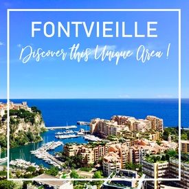 Fontvieille, Découvrez ce secteur unique.
