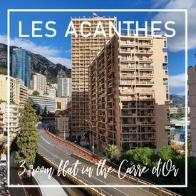 Rented - Les Acanthes, 3 room flat to rent in the Carré d'Or.