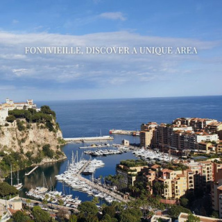 Immobiliare Fontvieille, Scopri questa lussuosa area di Monaco.