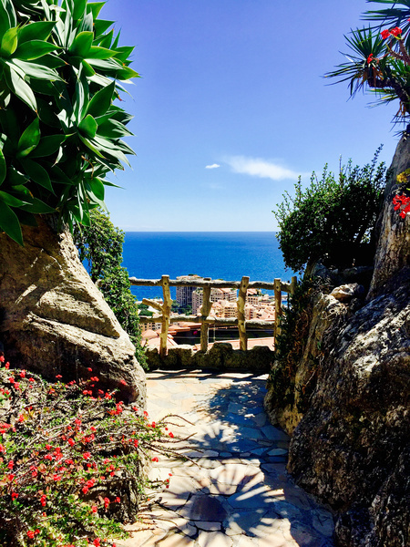 Jardin Exotique