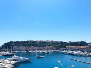 Properties for sale in Monaco / Monte-Carlo